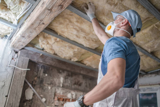 Attic Insulation Near Me in Ko Olina, HI