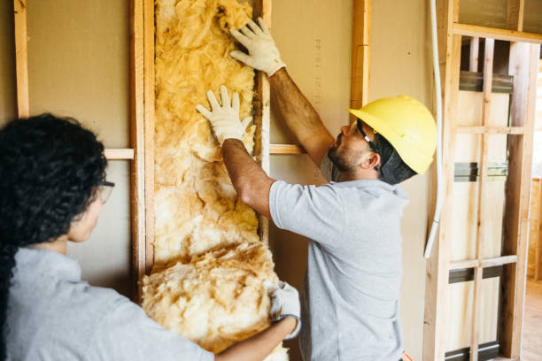 Best Insulation Contractor Near Me  in Ko Olina, HI